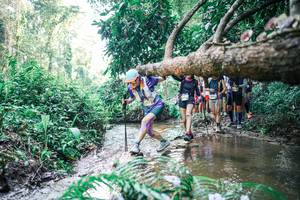 BIB: 
                            <button type="button" onclick="openModal(25467214)" class="btn btn-primary btn-sm float-right btn-popup" data-toggle="modal" data-target=".modal-high-quality">
                        <i class="fas fa-shopping-cart"></i> Add to Cart
                    </button>
                                            <button type="button" onclick="isThisMe(25467214, true)" class="btn btn-success btn-sm float-right btn-popup btn-isme hidden" data-toggle="tooltip" data-placement="bottom" title="นี่คือรูปของคุณใช่ไหม คลิกที่นี่เพื่อเอาเข้าอัลบั้ม">
                        <i class="fas fa-plus"></i> Add to album
                    </button>
                    <button type="button" onclick="isThisMe(25467214, false)" class="btn btn-warning btn-sm float-right btn-popup btn-isnotme hidden">
                        <i class="fas fa-ban"></i> Remove from album
                    </button>